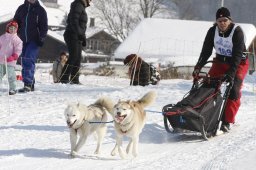 Lenk 2012 SM